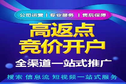 百度运营推广策略解析，看这些成功案例
